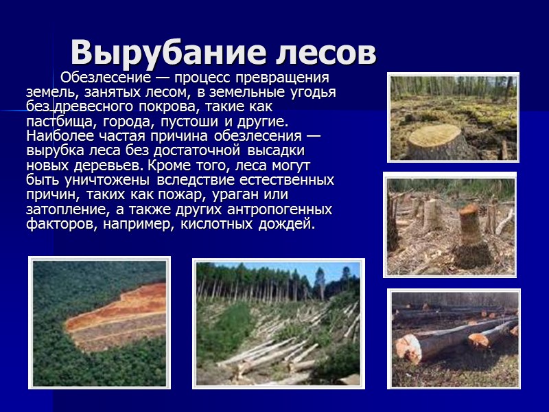 Вырубание лесов   Обезлесение — процесс превращения земель, занятых лесом, в земельные угодья